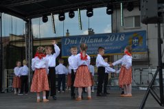 Losowe zdjęcie pochodzące z galerii wydarzenia: DNI PILZNA 2018